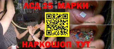 сатива Аргун