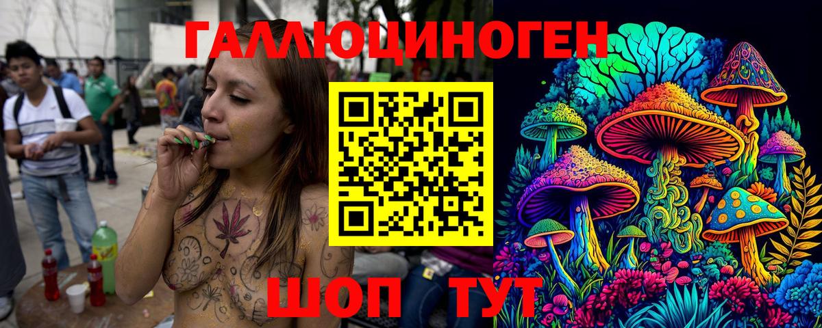 Великий Новгород  Псилоцибиновые грибы Cubensis  Вход с VPN 
