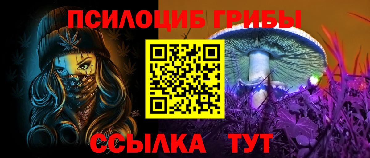 Псилоцибиновые грибы прущие грибы Великий Новгород